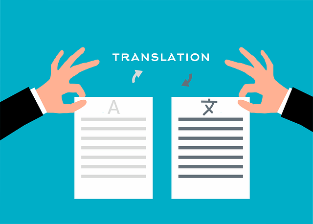 translation services