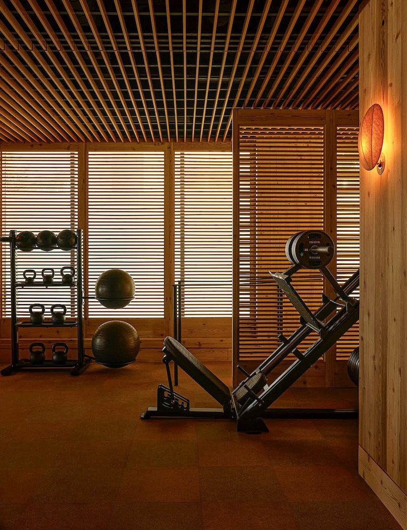 SPX Gym Design: Create Functional and Elite Fitness Spaces